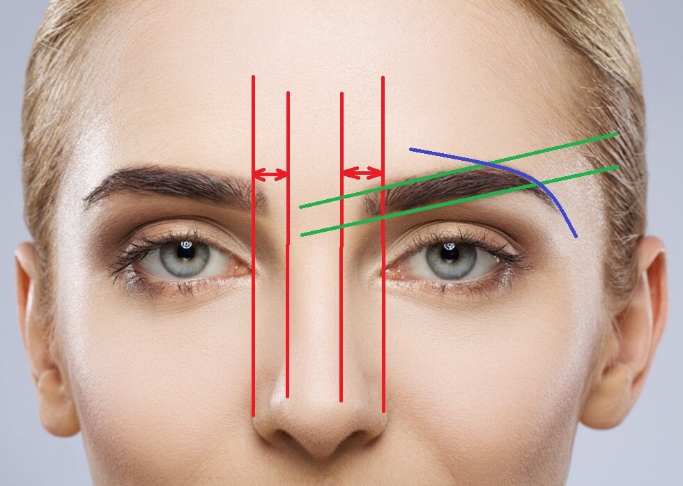 Правильные брови фото