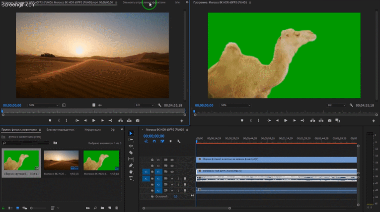 Видеомонтаж в Adobe Premiere Pro