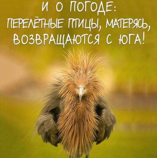 pinterest.ru