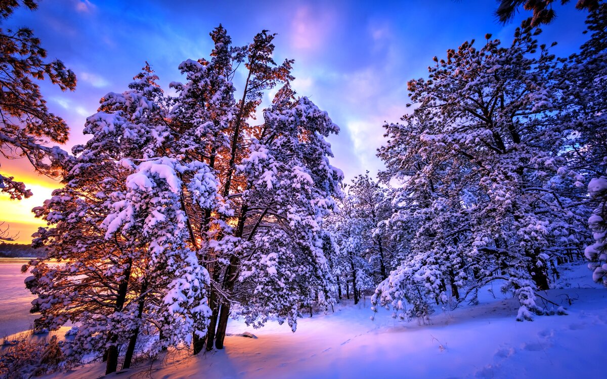 фото взято из свободного доступа Яндекс