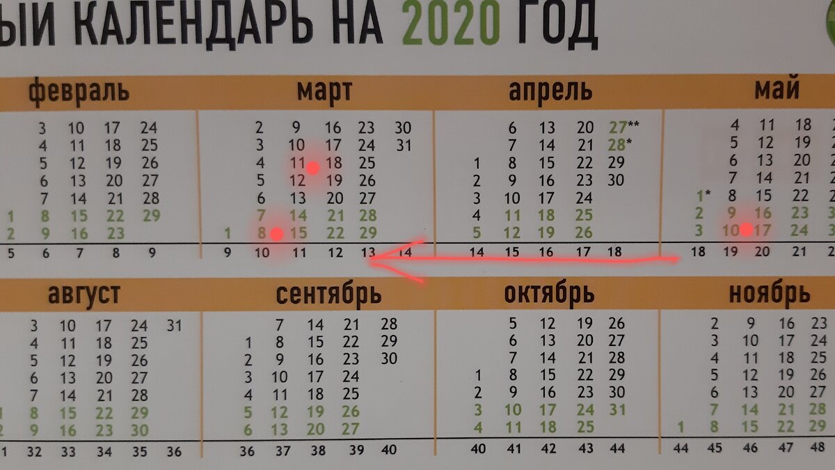 Обратный отсчет. Фото автора.