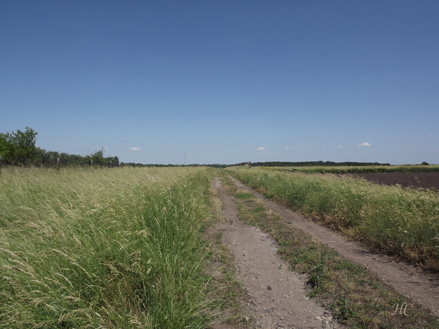 Фото Нины Стрелковой.