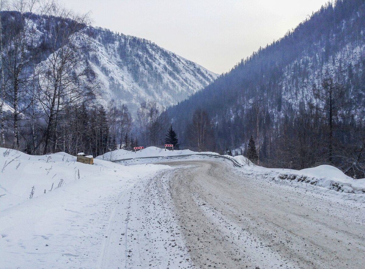 горы змеиногорск