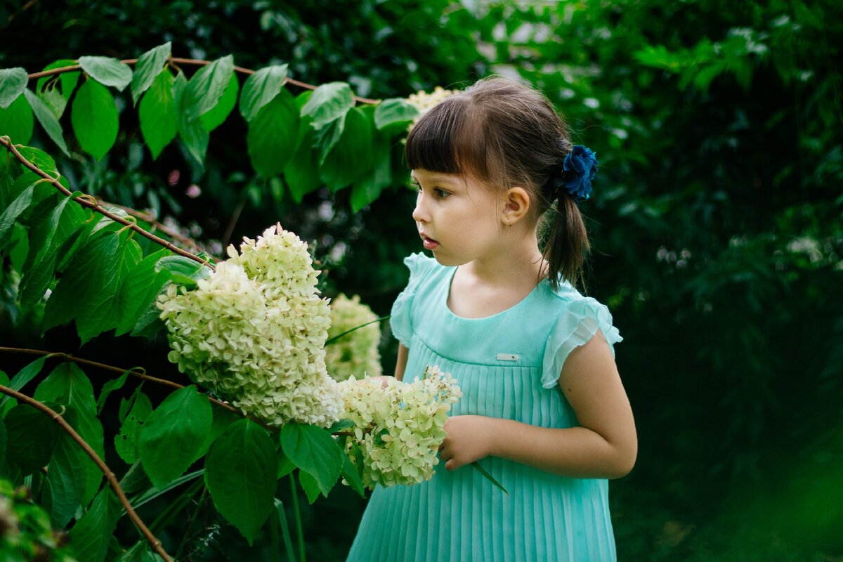 1. Девочка с гортензией