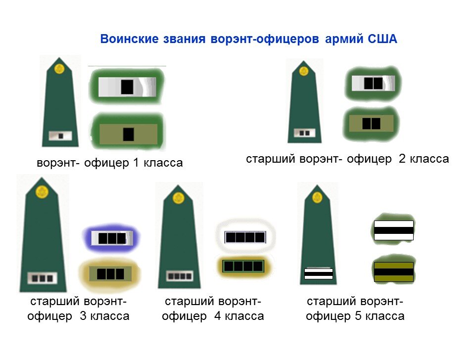 Лейтенант звание сша