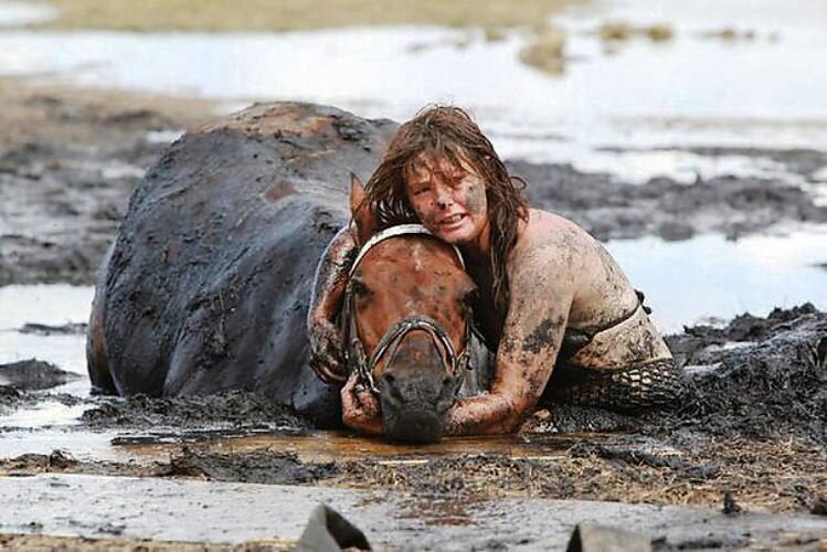 Взято с сайта https://tabor.ru/feed/209133