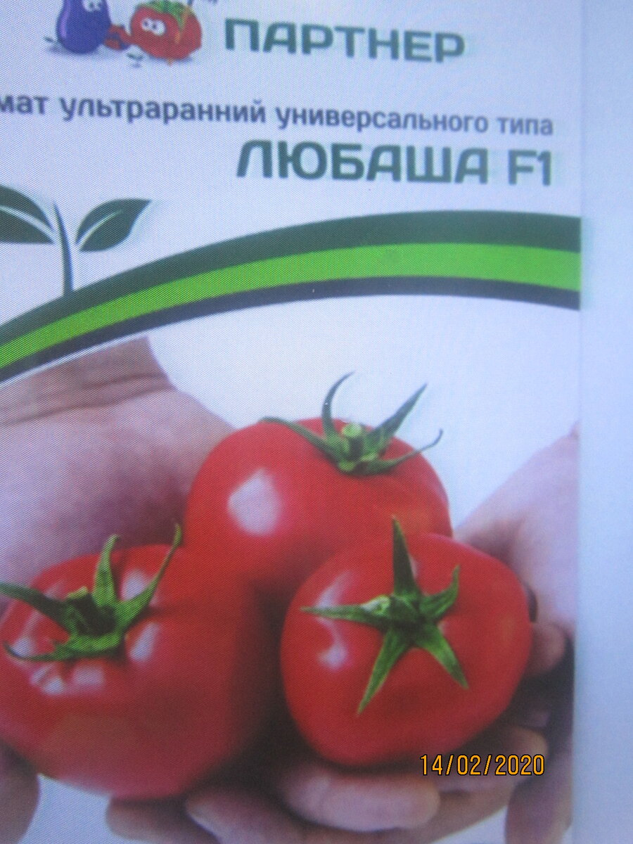 Отличные томаты выручалочки.