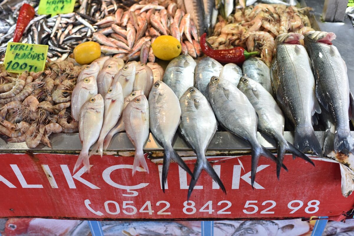 Рыбов продаете красивые. Рыбный рынок Фетхие. Рыбный рынок в Евпатории. Евпатория рынок морепродуктов. Рыб продаете.