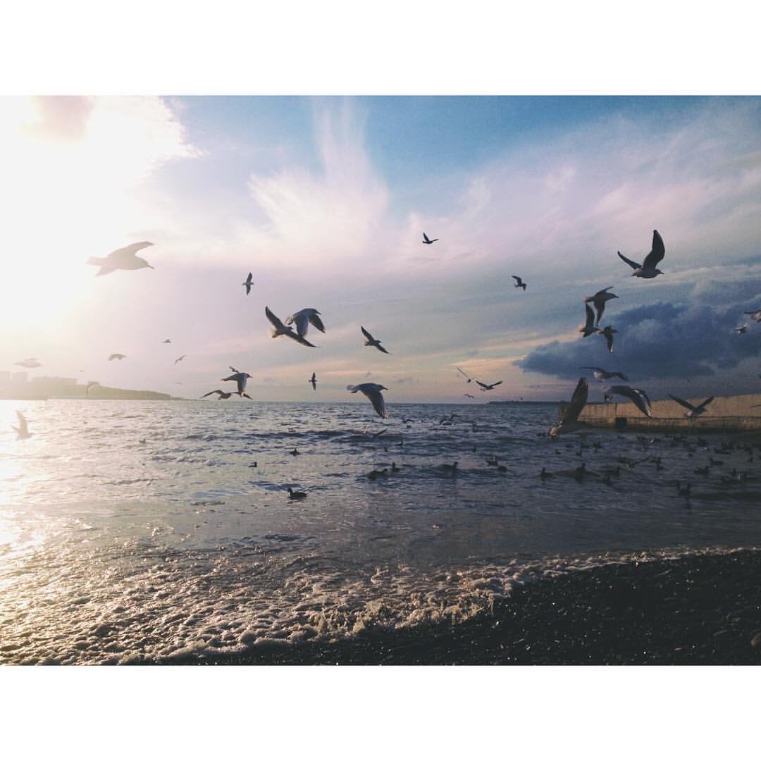 Парящий Геленджик