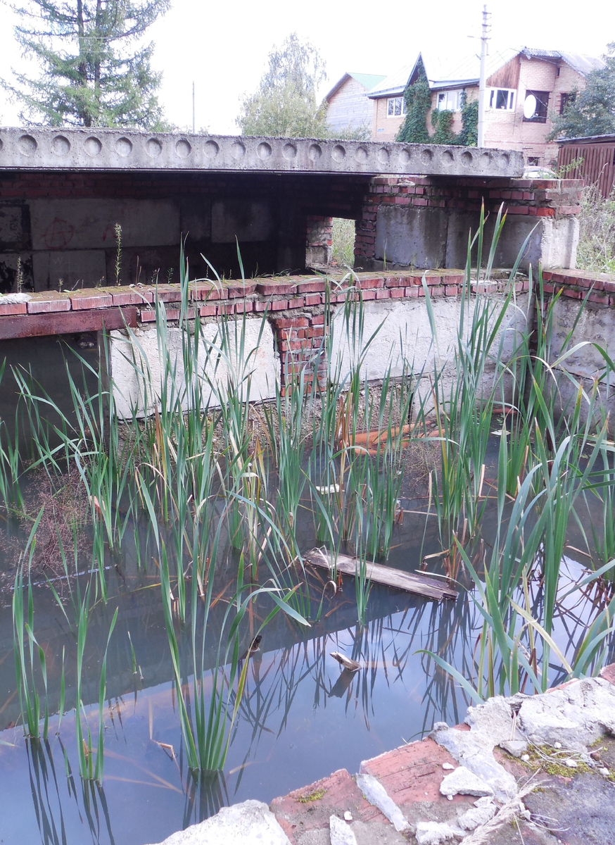 Интересно, самострой или всё законно? В черте населённого пункта, рядом с улицей (дорога-грунтовка)