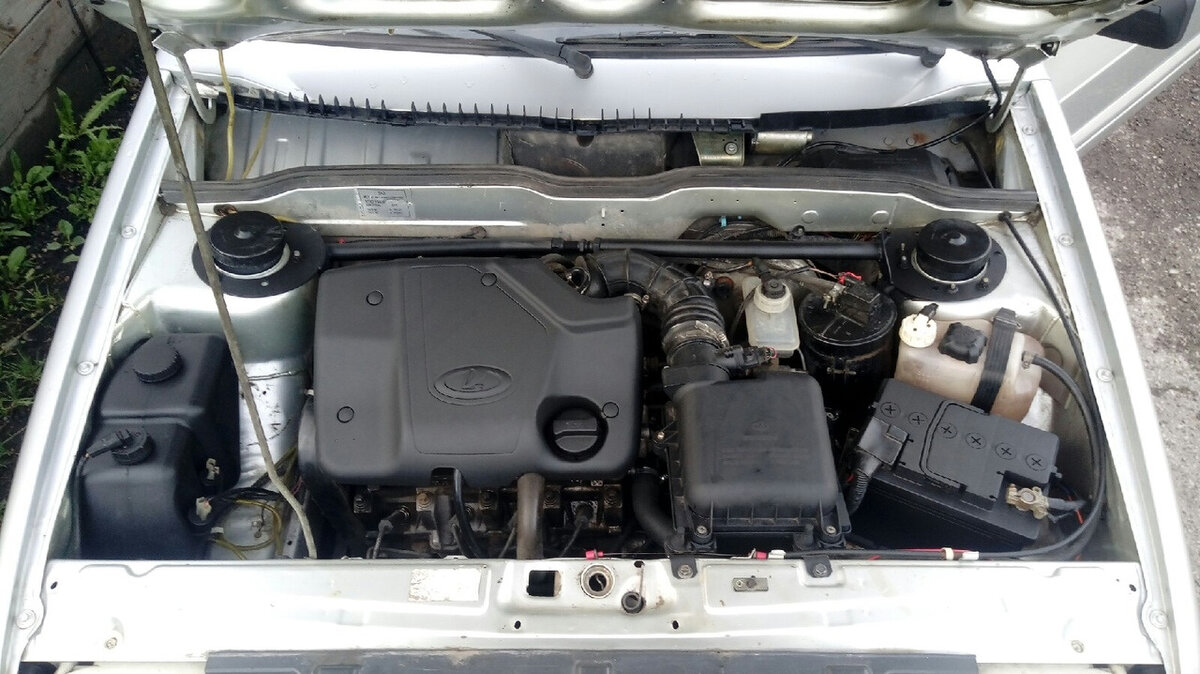 Взято из Яндекс картинки.