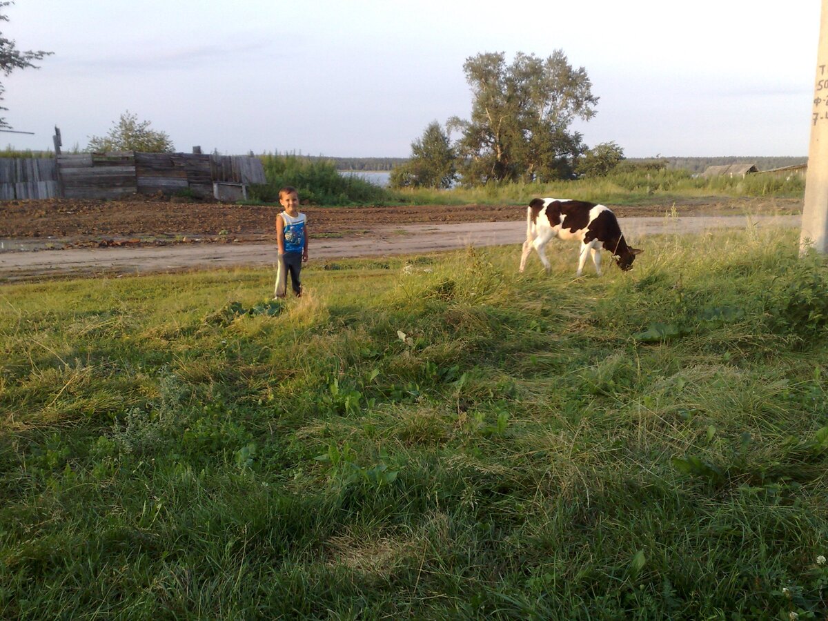 Вот такая у нас деревня в Курганской области