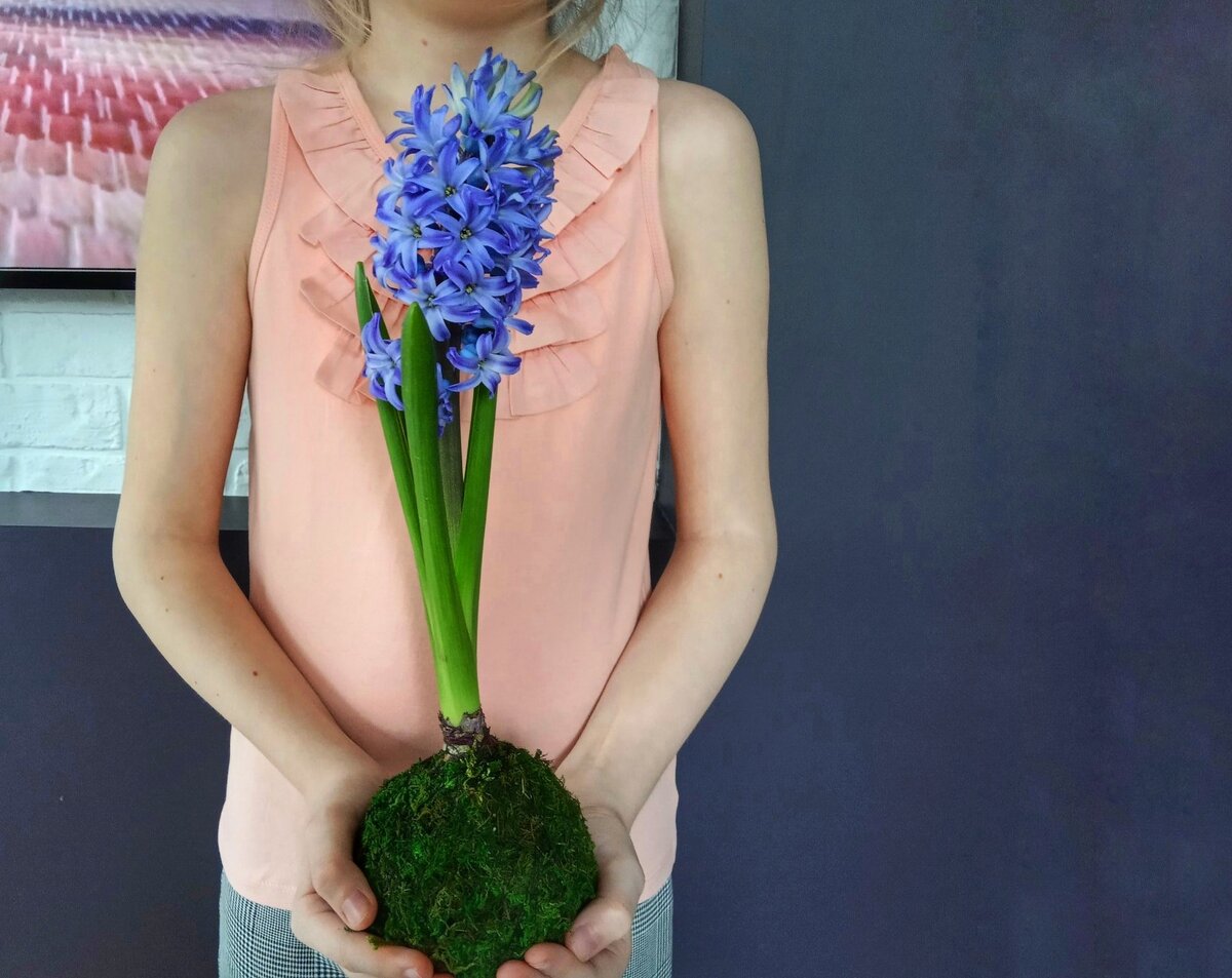 Пока писала статью, наша кокедама расцвела)))