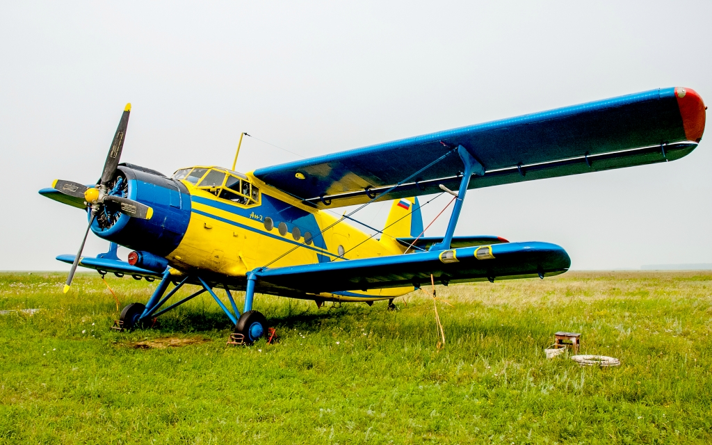 Дина Абубакирова ©