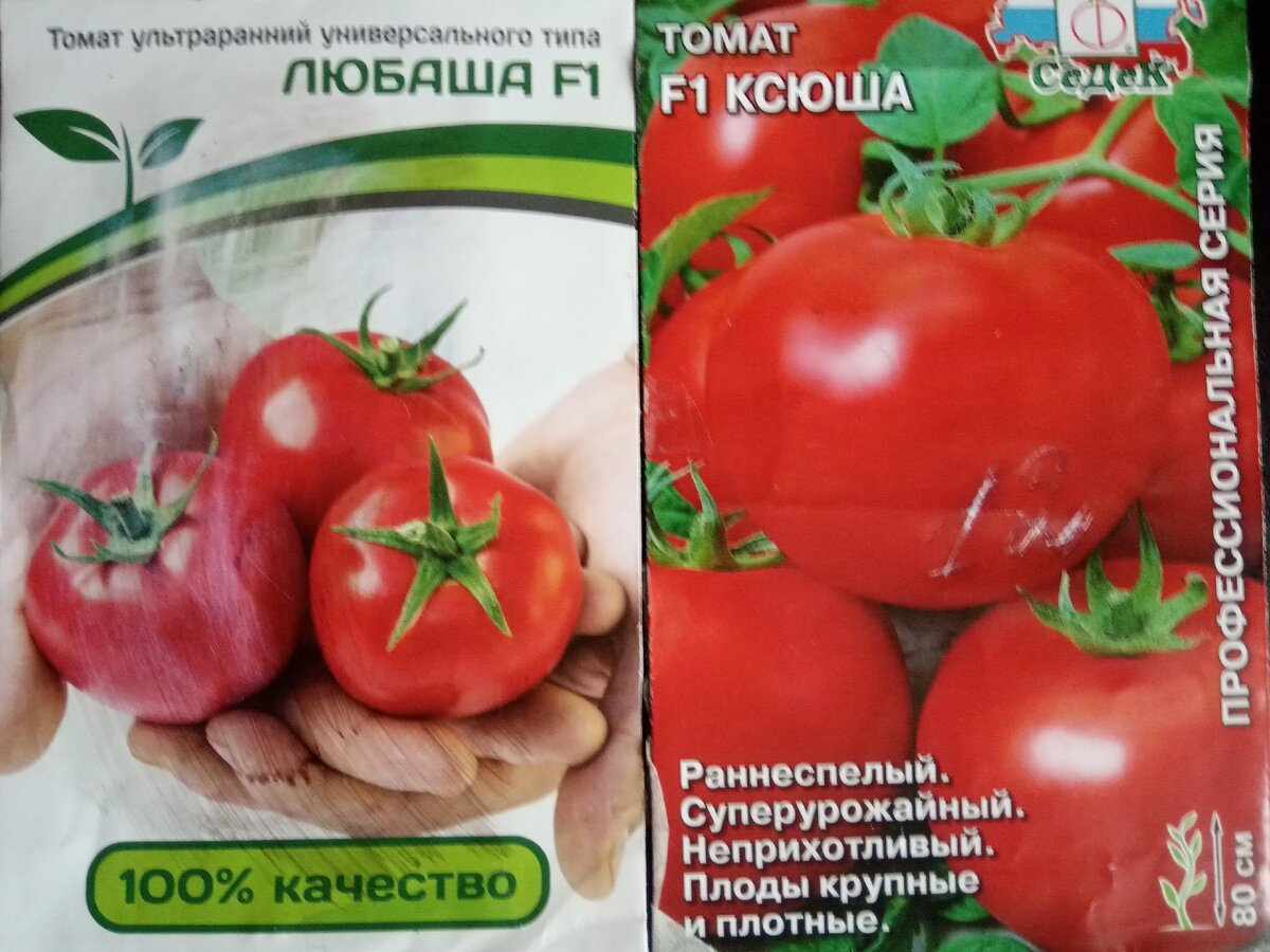 Томат F1 Ксюша и F1 Любаша