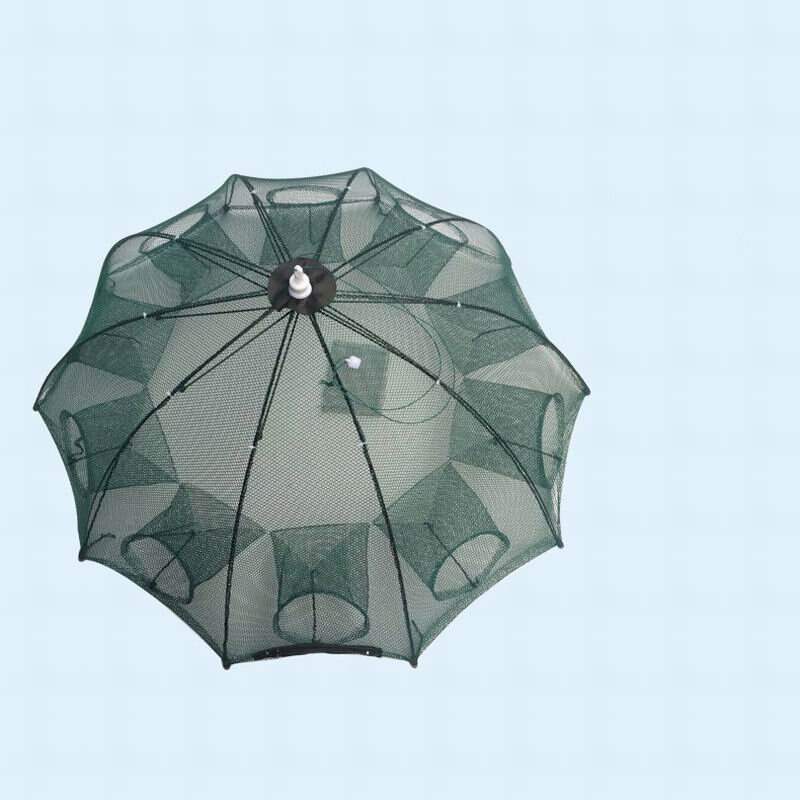 Фото из открытых источников.