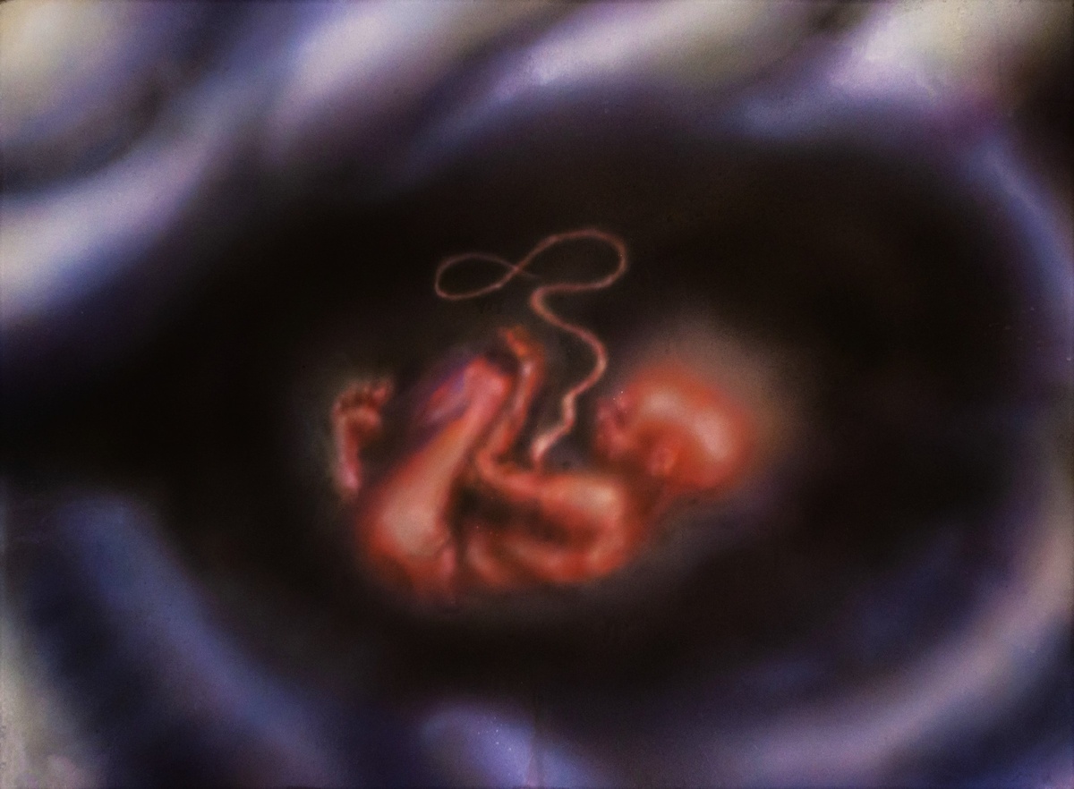 Сорока Павел 
УРОБОРОС 
2019г.