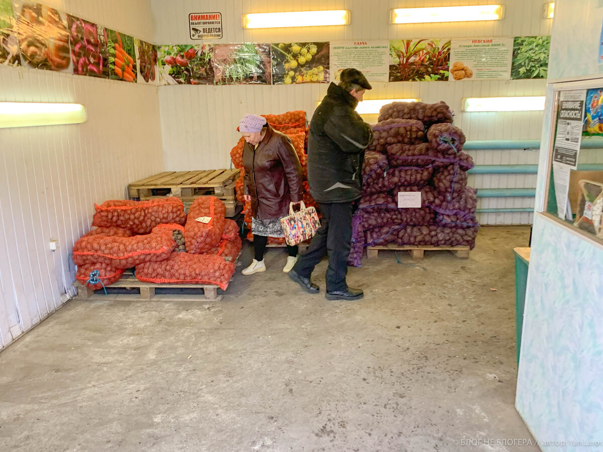 Узнал какие продукты скупают в деревне. Заехали на базу и купили несколько мешков картошки