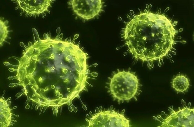 Вирусная красотища