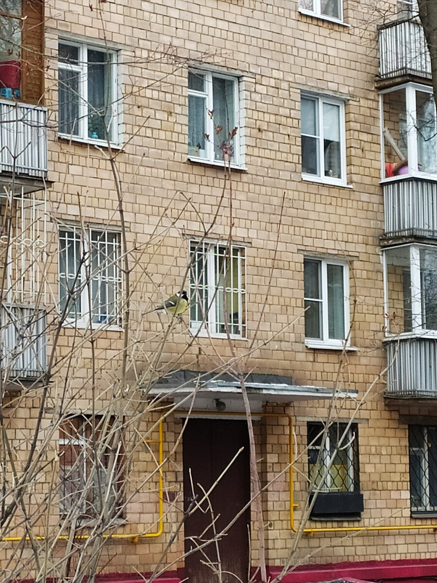 Улица Михайлова. Фото: соцсети