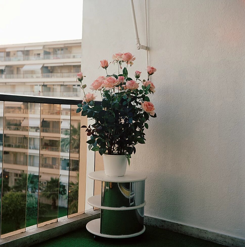 Источник: Wix