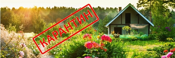 #карантин коронавирус 