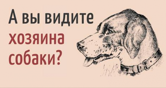 Изображен хозяин собаки. Хозяин на изображении собаки. Головоломка Найди хозяина на собаке. Найти хозяина собаки на картинке. Семь собак картинки.