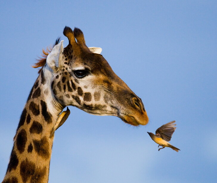 © Andrey Gudkov / depositphotos 