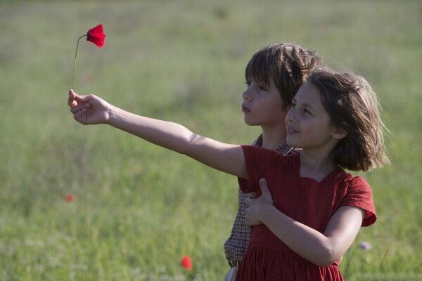 Фото из открытого источника Яндекс 