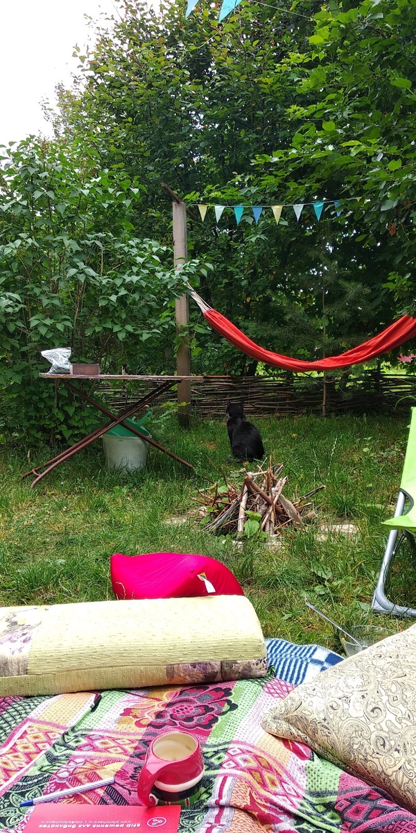 Задний дворик. Лето 2019.