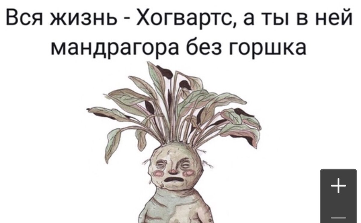 Если не мечтаешь