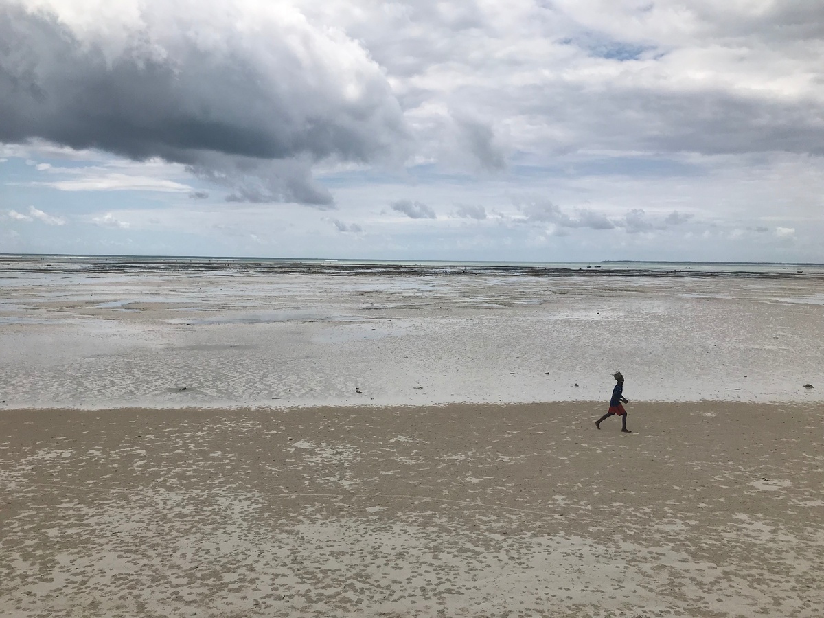 Видите полосу? тут было море