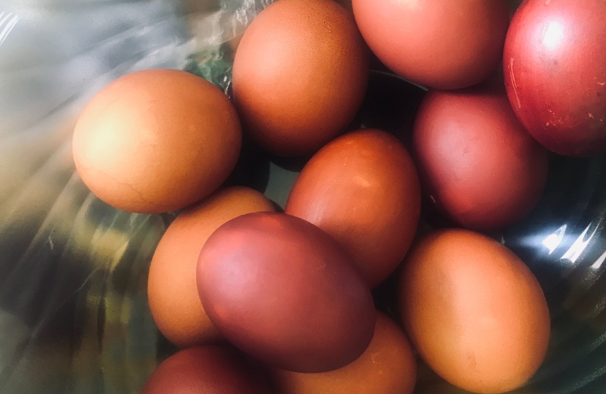 Из личного архива