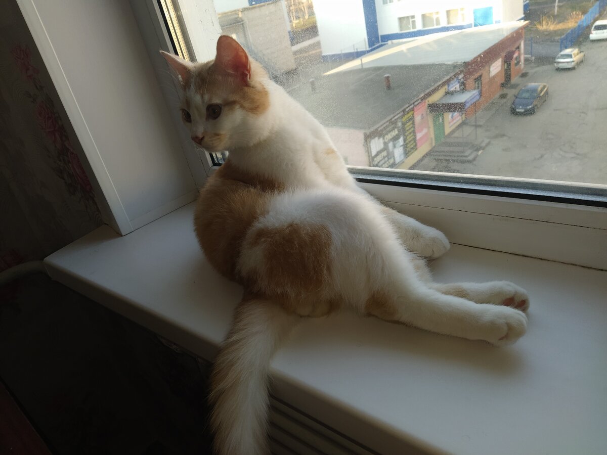 Еще с ними. (Фото автора)