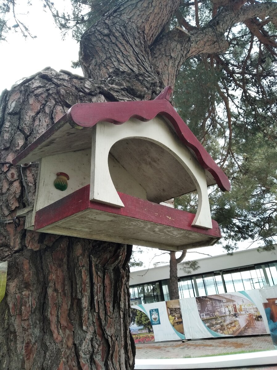 Просторная кормушка, в которую влезет даже енот.
