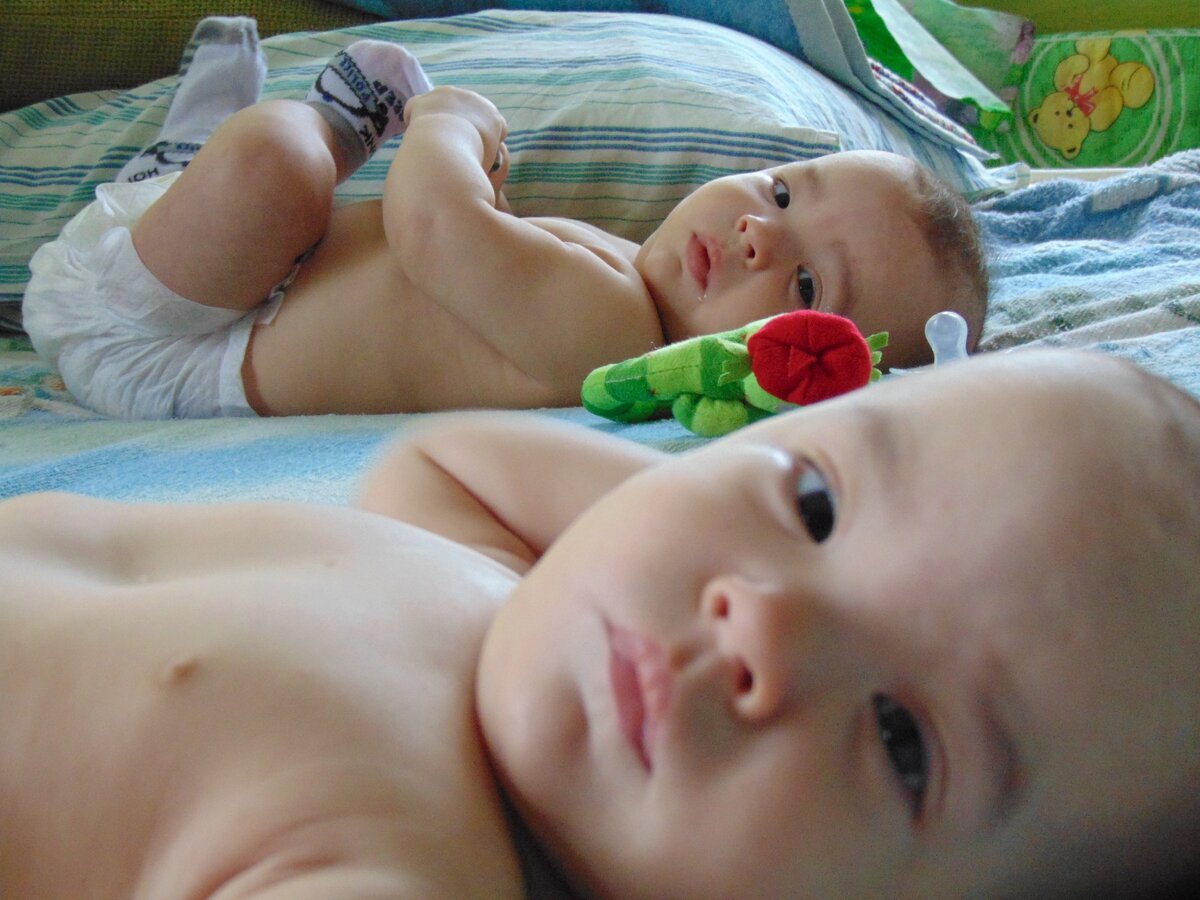 Согласно неподтвержденной, но весьма популярной семейной легенде, моя девичья фамилия происходит от слова "шофар". Это - та самая библейская труба, которая обрушила стены Иерихона. После появления на свет этих милых крошек я почти поверила, что легенда-таки не врет. 