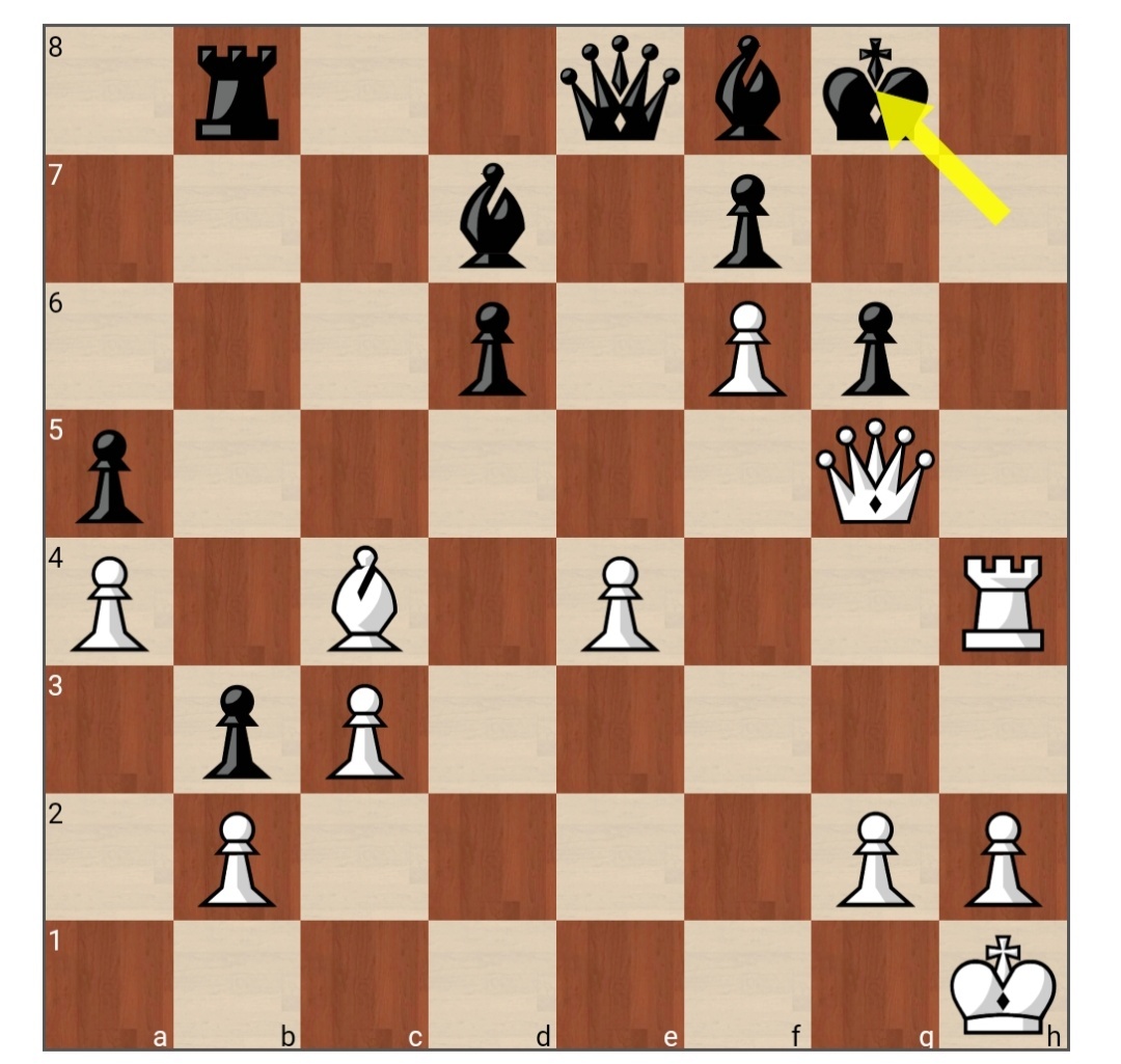 Король уходит g8