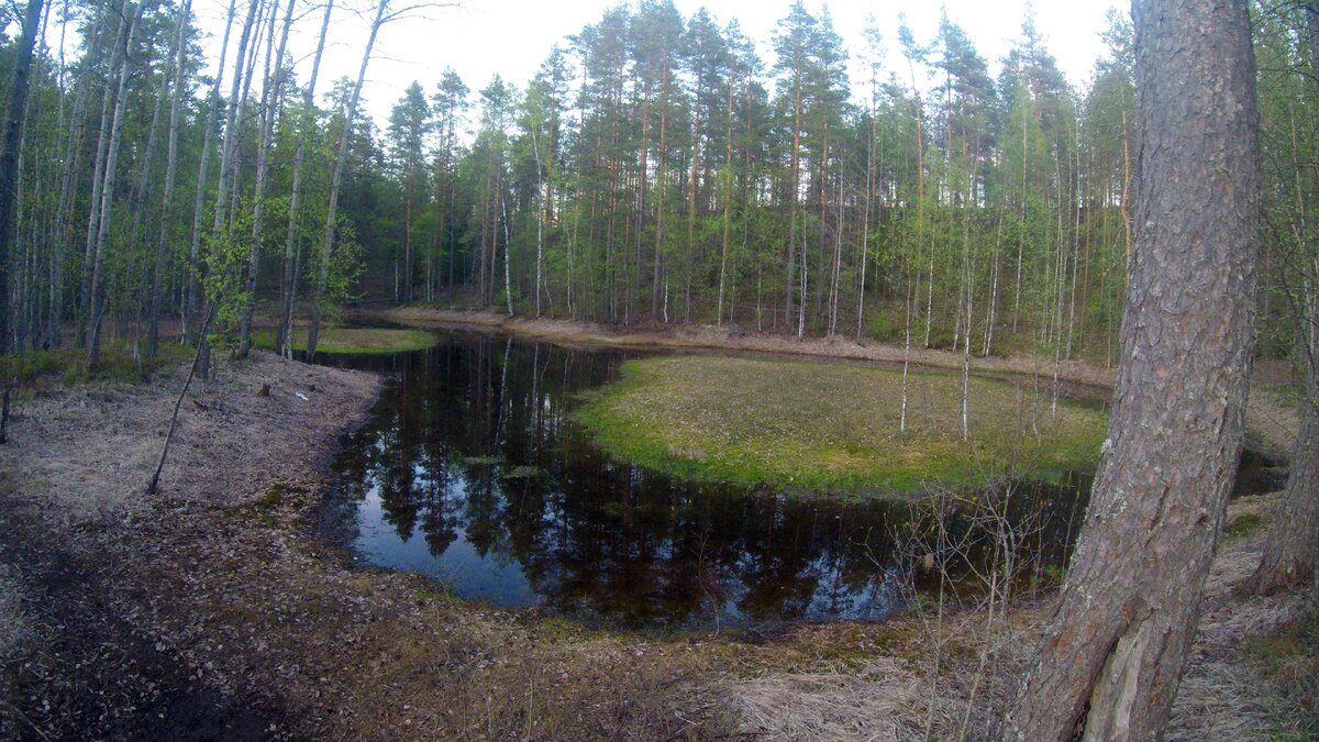 Озеро Шапшезеро Карелия