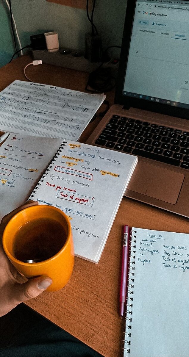 Прохожу онлайн-курс по шведскому.