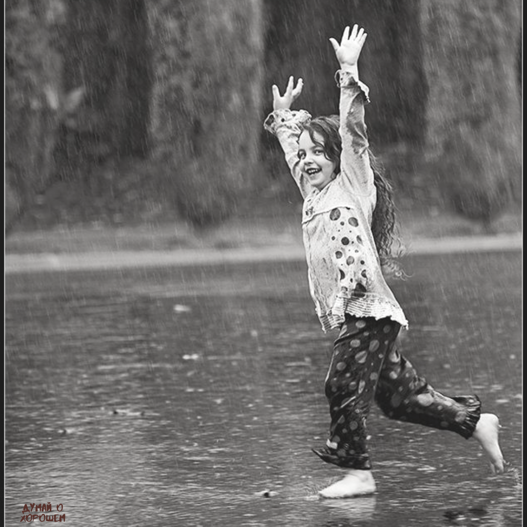 Летний дождь