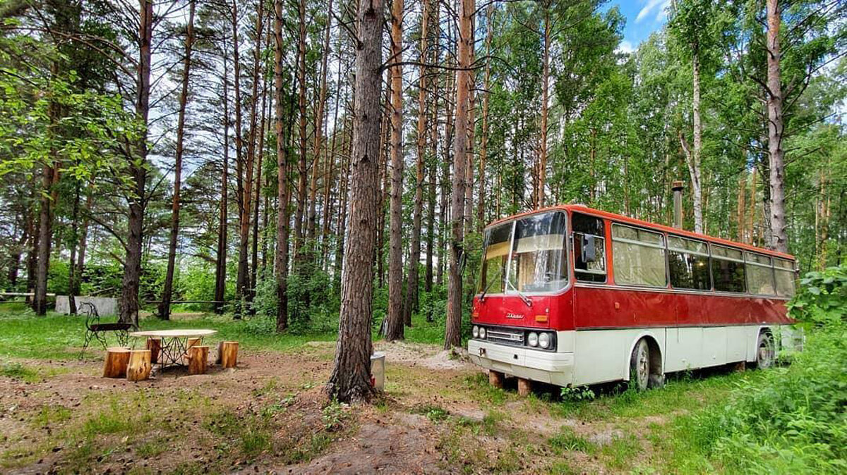 Отель в легендарном автобусе-икарусе — пожалуй, самая необычная гостиница  России! | Cuva | Дзен