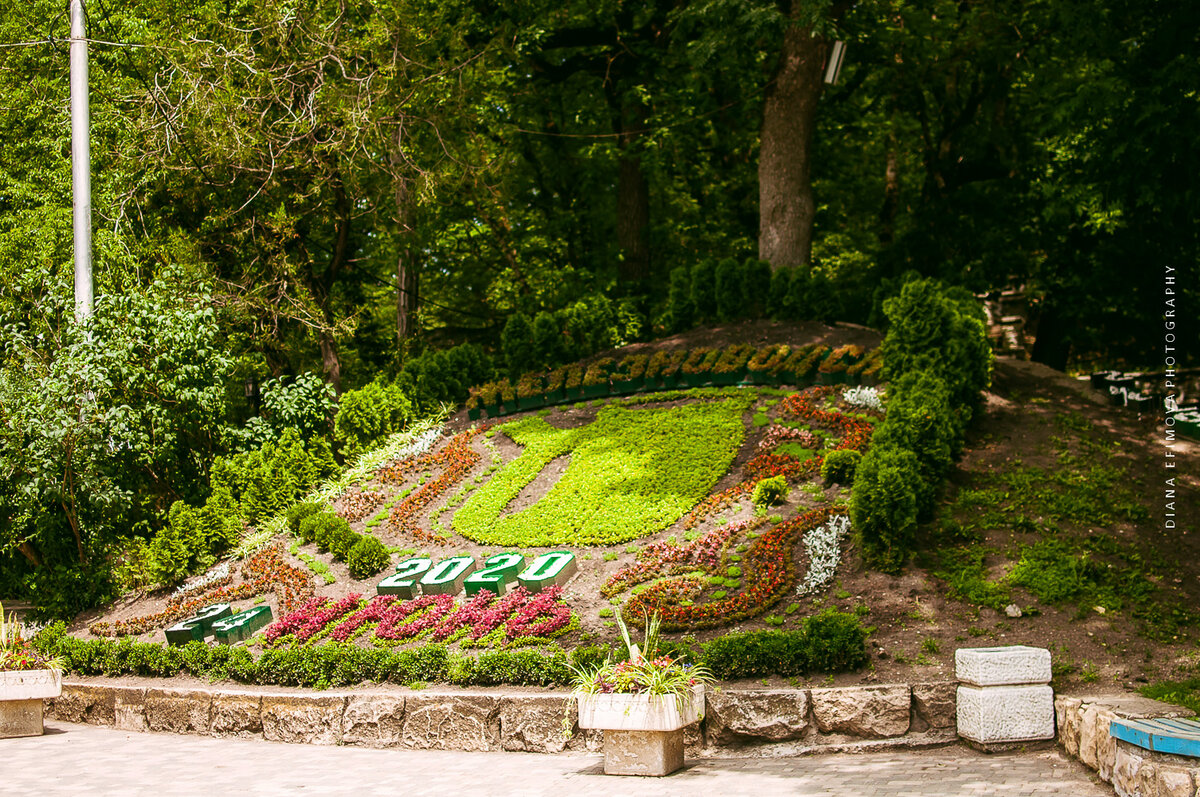 Парк в железноводске фото