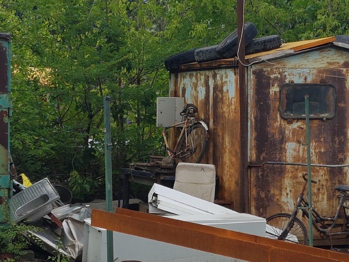 Найди 3 велосипеда на фото