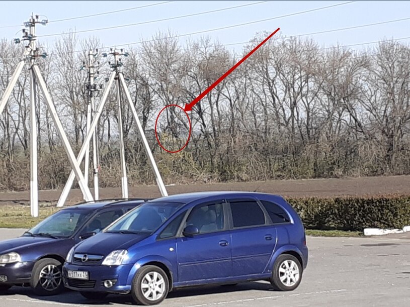 Великий и ужасный алгоритм дзена идёт пессимизировать ваши жалкие каналы! Трепешшыте, недоблоггеры! ))))))