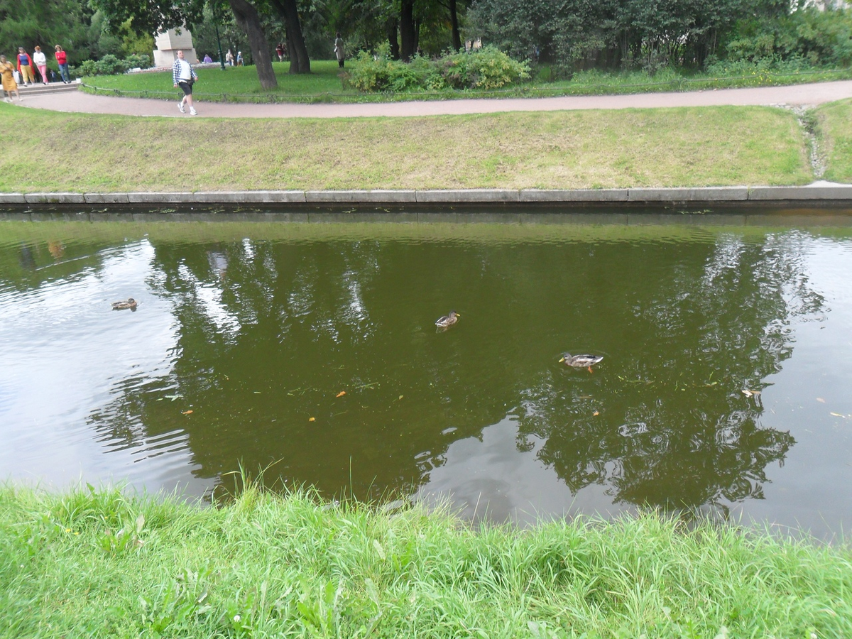 Фото автора