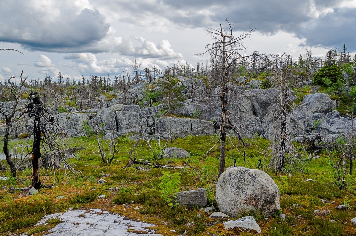 Источник фото: Яндекс картинки