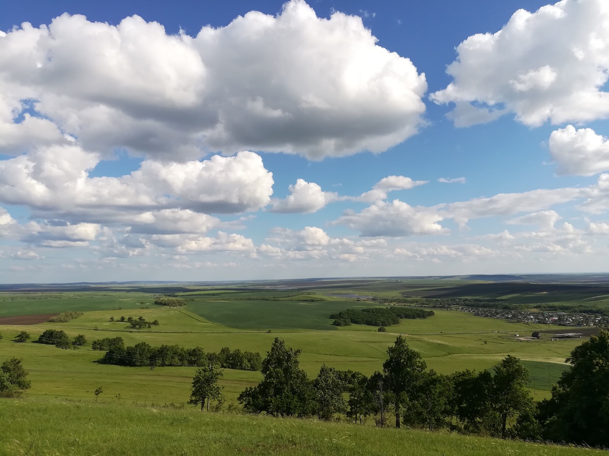 Возвышенности Новобурасского района, вид на дер.Елшанка Фото из личного архива