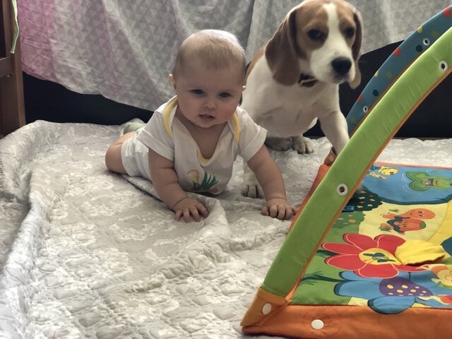 Давай я тебе покажу как надо ползать .