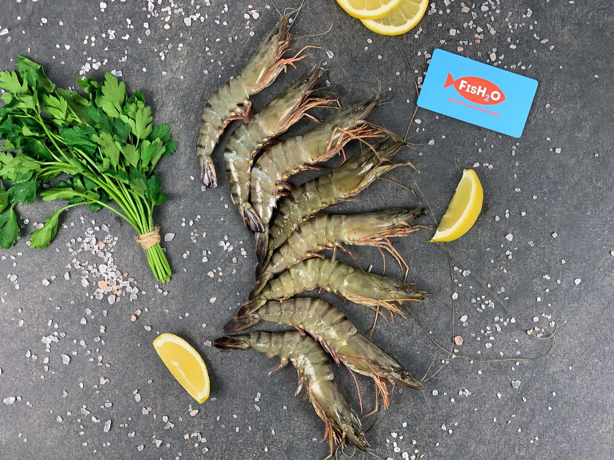 Тигровые креветки от fish2o.ru