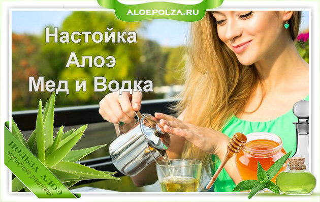 Лечение бронхита алоэ с медом